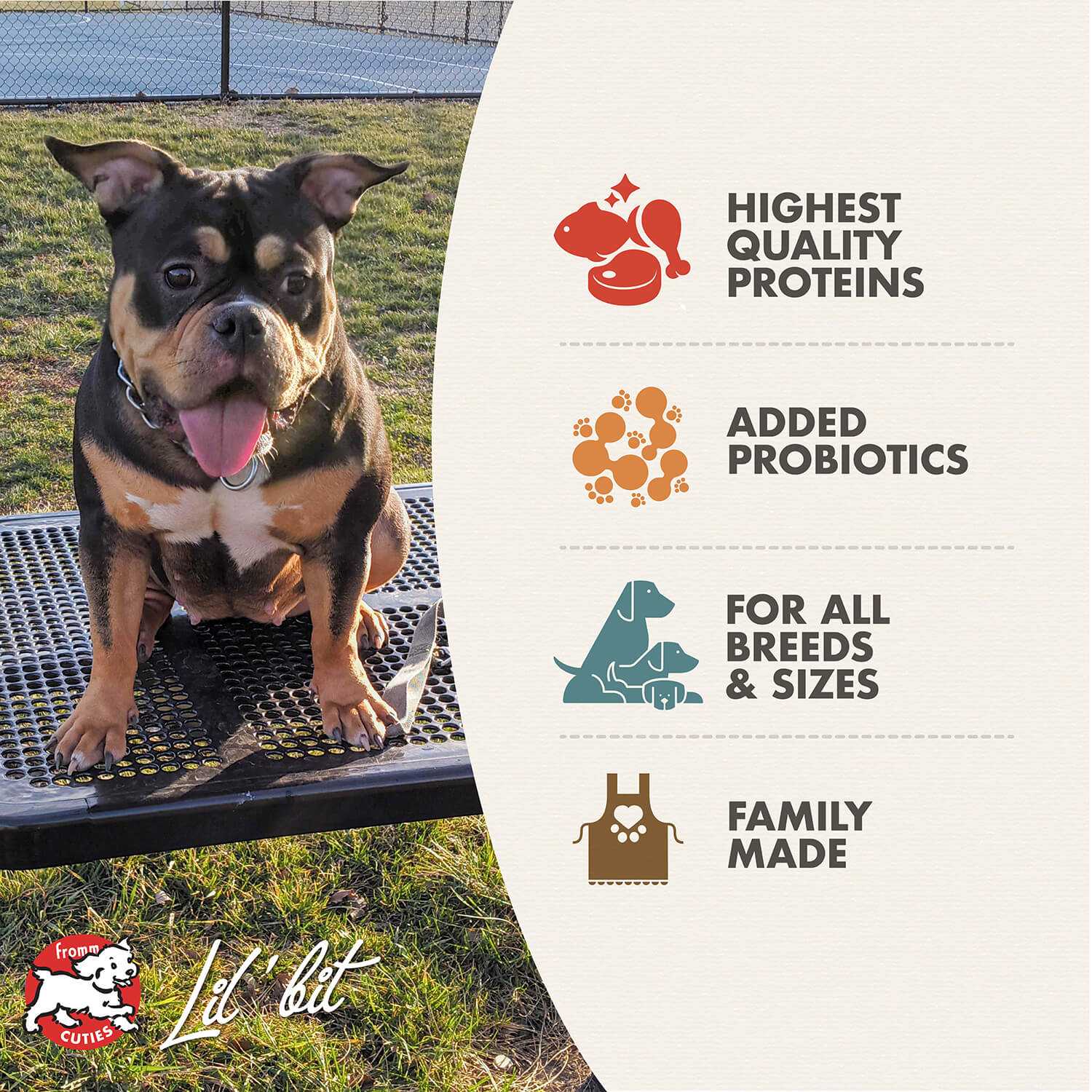 Dog sitting on bench with Heartland Gold Adult dog food info highlighting high-quality proteins, added probiotics, suitable for all breeds and sizes, family made