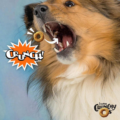 CRUNCH O's Peanut Butter Jammers DFW Raw Dog Food Fromm Dry Treats Peanut Butter Jammers