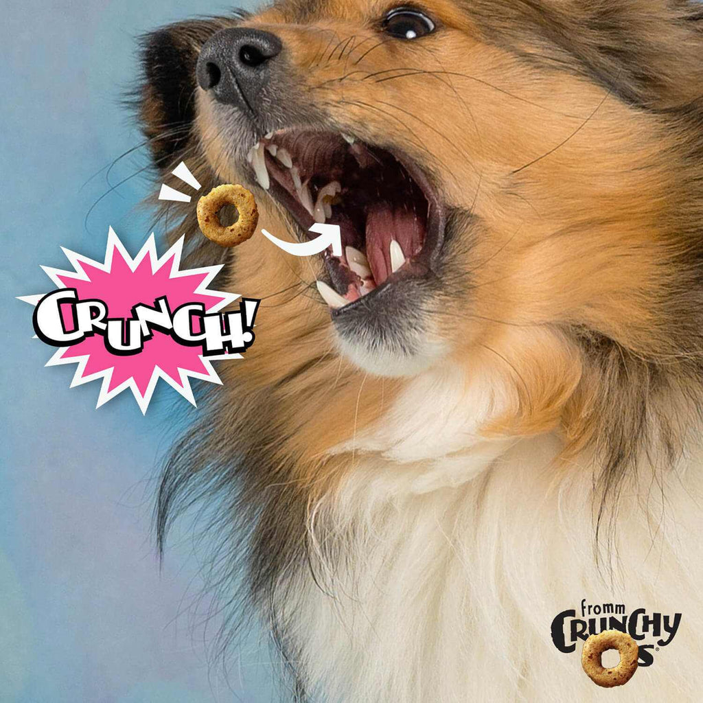 Bag of Crunchy O's Slammon smoked salmon dog treats with unique crunchy texture and wholesome ingredients