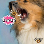 Bag of Crunchy O's Slammon smoked salmon dog treats with unique crunchy texture and wholesome ingredients