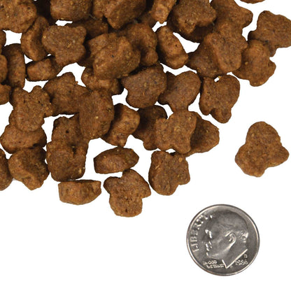 Hasen Duckenpfeffer small brown pet food kibbles with a dime for size comparison