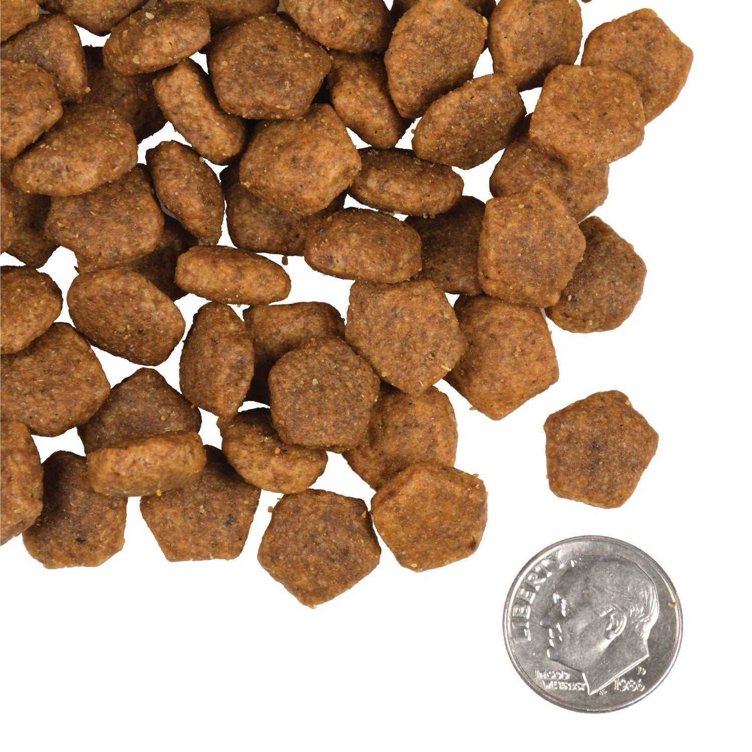 Heartland Gold Adult dog food kibble with beef, pork, lamb recipe and probiotics shown next to a dime for size comparison