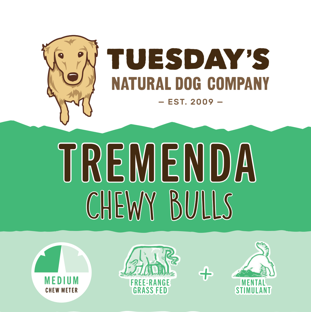 Tremenda Chewy Bulls treat packaging with bold brown lettering, green and mint panels, and illustrated dog and chew-meter icons.