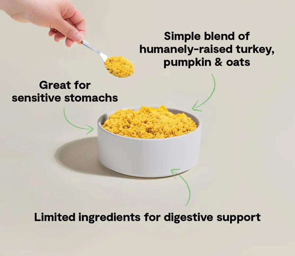 Tummy Rescue Dog Food with a yellow-orange blend of turkey, pumpkin and oats in a white bowl.