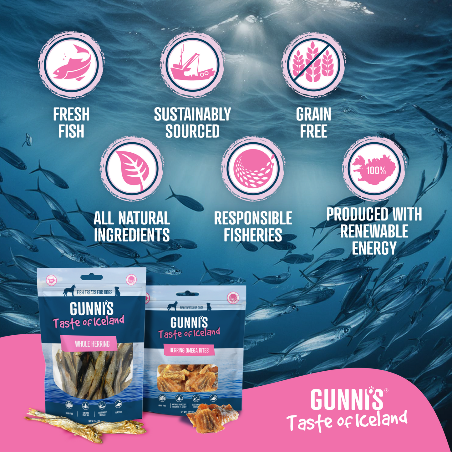 Whole herring dog treats rich in omega-3, air dried in Iceland using renewable energy