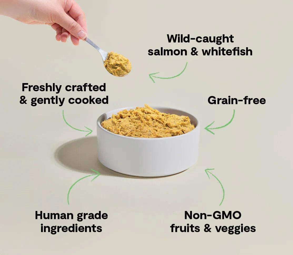 Dog food, Wild-Caught Fish with shredded golden-brown salmon and whitefish in a white bowl, freshly crafted and grain-free